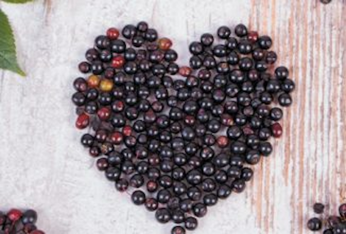 How to Make Elderberry Wine